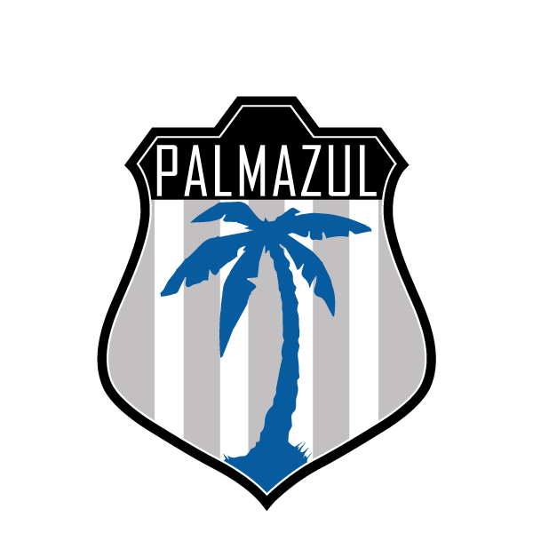 PLAN DE DESARROLLO DEPORTIVO – Club Deportivo Palmazul